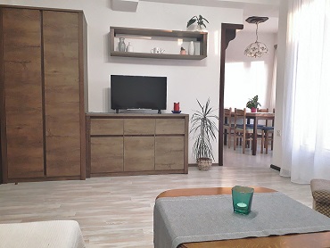 Apartments Padovan, living room